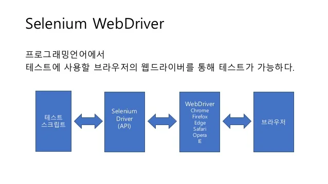 셀레니움 설명